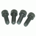 02) Back Plate Screw